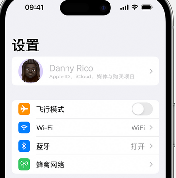 儋州appleID维修服务iPhone设置中Apple ID显示为灰色无法使用 