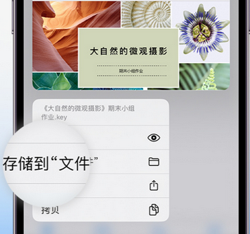 儋州apple维修中心分享iPhone文件应用中存储和找到下载文件