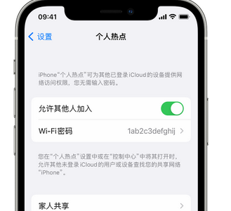 儋州apple服务站点分享iPhone上个人热点丢失了怎么办