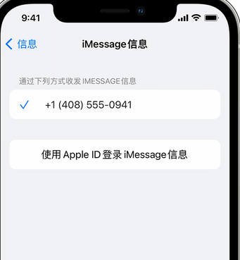 儋州apple维修iPhone上无法正常发送iMessage信息 