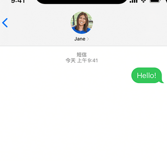 儋州apple维修iPhone上无法正常发送iMessage信息