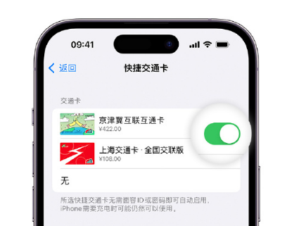 儋州apple维修点分享iPhone上更换Apple Pay快捷交通卡手绘卡面 