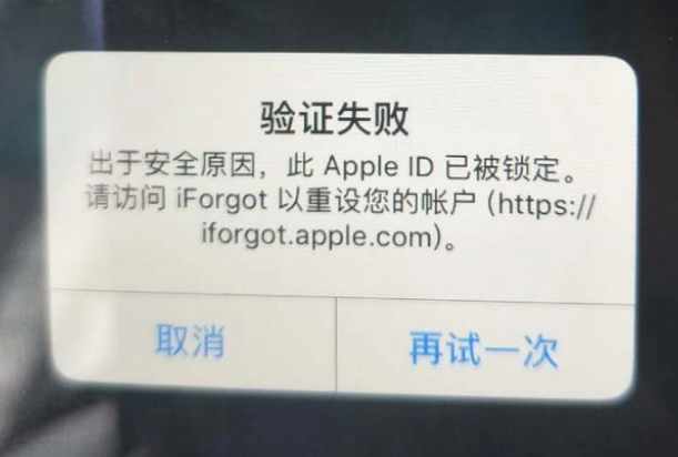 儋州iPhone维修分享iPhone上正常登录或使用AppleID怎么办 