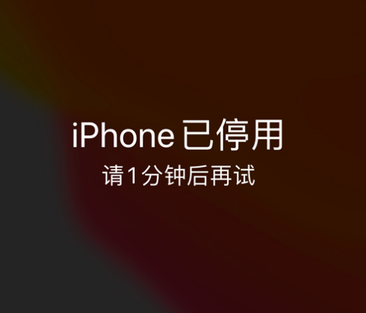 儋州苹果手机维修分享:iPhone 显示“不可用”或“已停用”怎么办？还能保留数据吗？ 