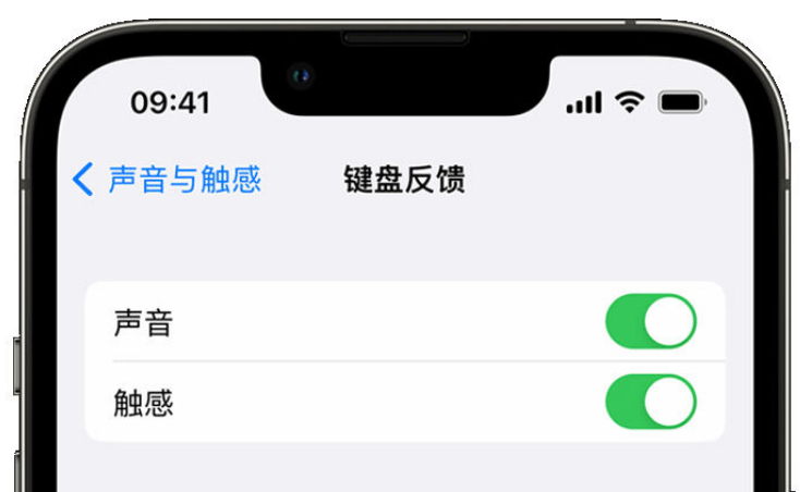 儋州苹果手机维修分享iPhone 14触感键盘使用方法 