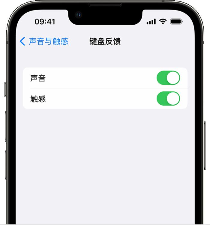 儋州苹果14维修店分享如何在 iPhone 14 机型中使用触感键盘 