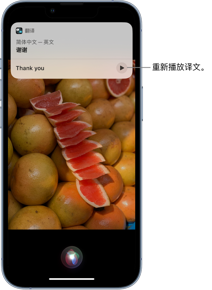 儋州苹果14维修分享 iPhone 14 机型中使用 Siri：了解 Siri 能帮你做什么 