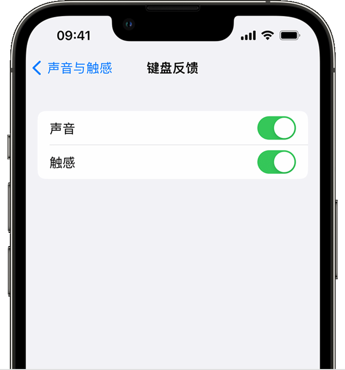 儋州苹果14维修分享iPhone 14 系列机型如何开启键盘声音或触感反馈 
