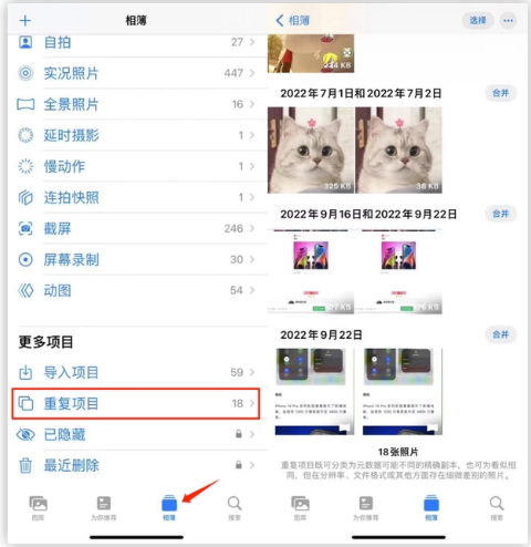 儋州苹果手机维修分享iOS 16 中相册重复项目功能使用方法 