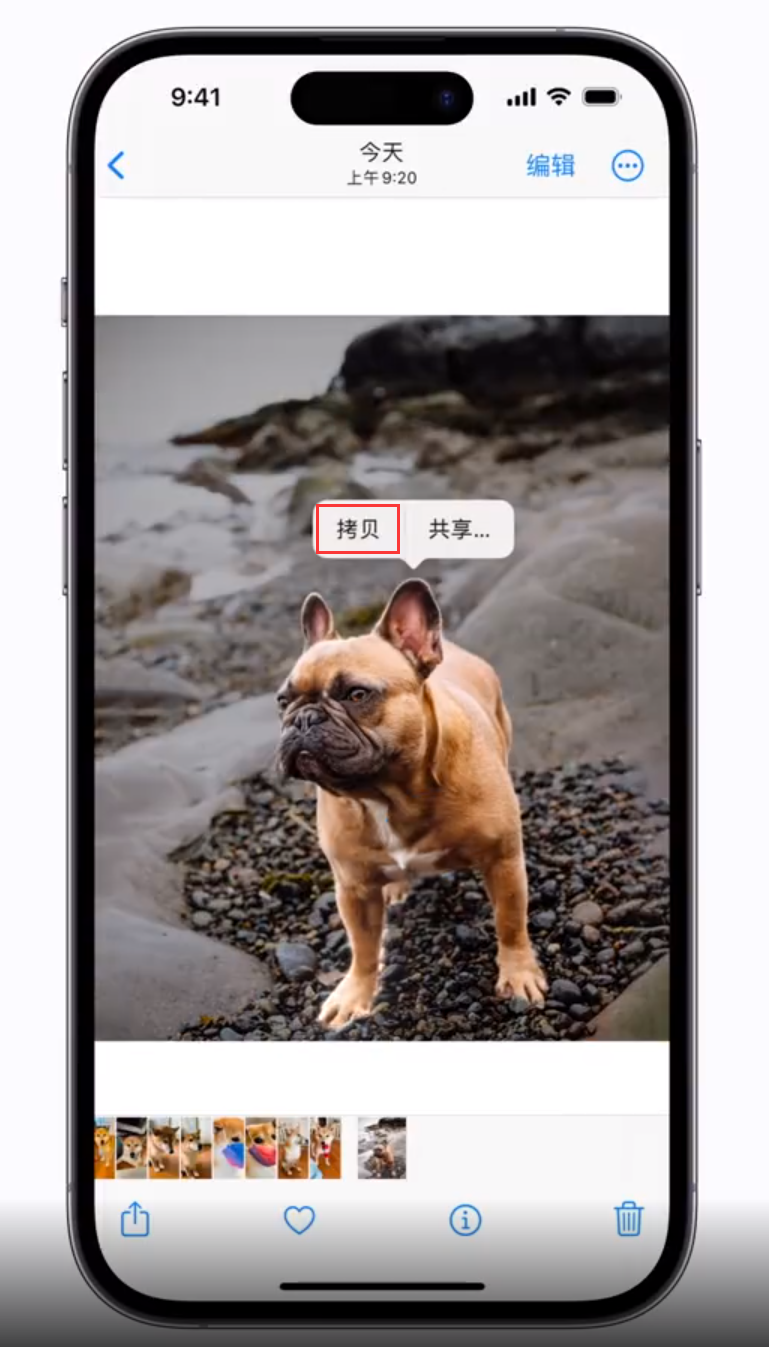 儋州苹果手机维修分享 iOS 16 自带一键抠图功能 