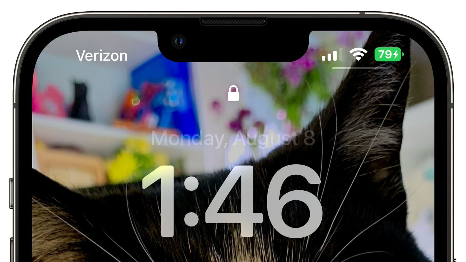 儋州苹果手机维修分享iOS 16 beta 5 支持状态栏显示电池百分比，如何开启？支持哪些机型 