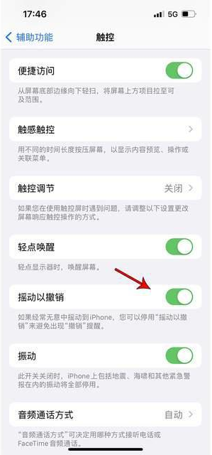 儋州苹果手机维修分享iPhone手机如何设置摇一摇删除文字 