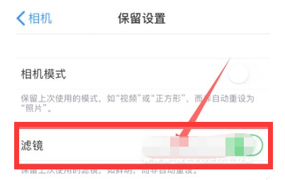 儋州苹果13维修分享iPhone13拍照有绿点是怎么回事 