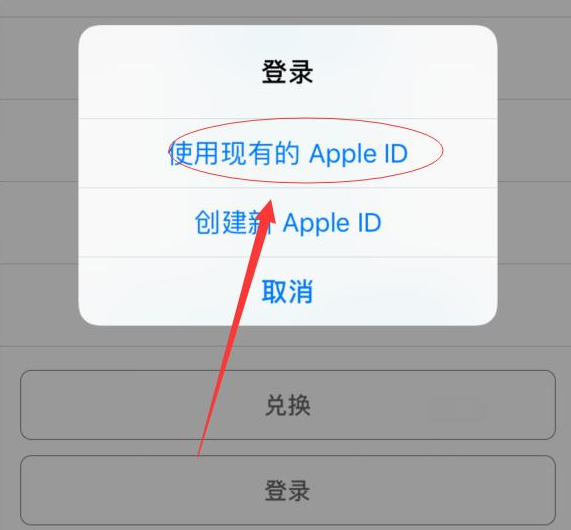 儋州苹果手机维修分享两台iPhone设备可以同时登录一个Apple ID吗 