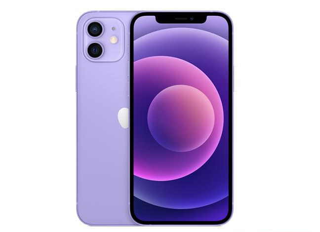 儋州苹果手机维修分享现阶段要不要入手紫色版iPhone12 