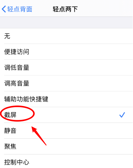 儋州苹果手机维修分享iPhone12如何启用双击截屏 