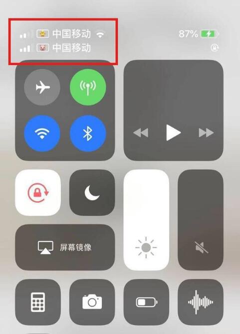 儋州苹果手机维修分享为 iPhone 12 双卡设置标签 