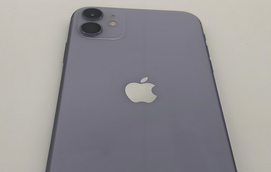 儋州苹果11系统维修分享iPhone11手机系统崩溃无法开机如何解决